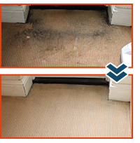 Affordable Carpet Cleaners Before and After Cleaning a Carpet